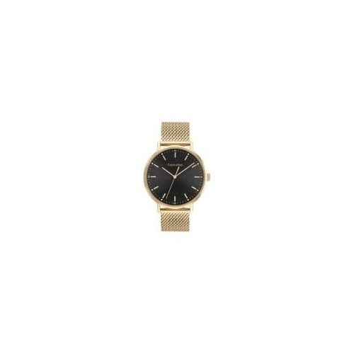 Calvin Klein Gold Mesh Black Dial Men's Watch