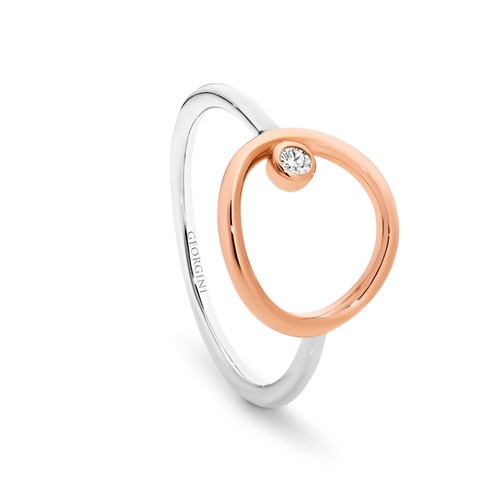 GEORGINI POLAR RING