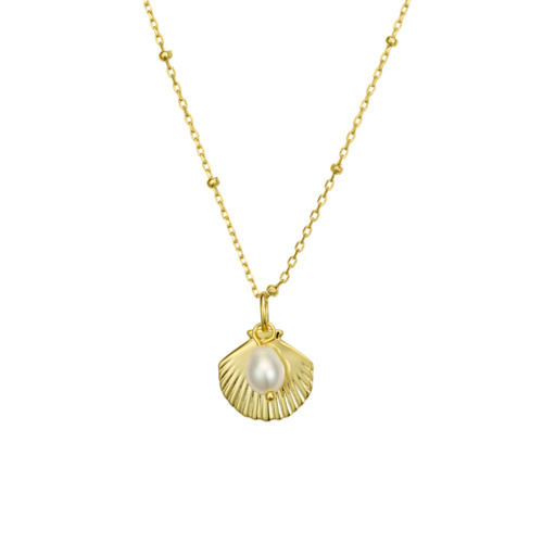 Indulge S/S gold plated satellite chain necklace with shell pendant & freshwater pearl