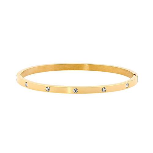 Ellani Stainless Steel Hinged Bangle w/ WH CZ YG
