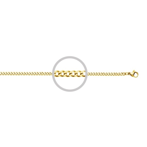Indulge Stainless Steel Curb Chain Yellow Gold Plated